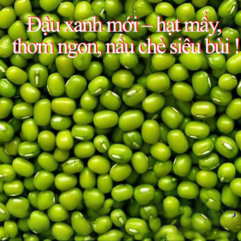 Hạt Dinh Dưỡng Đậu xanh to mới, đậu tươi, dễ nấu cháo, thơm ngon, hạt chắc, mềm bùi dễ ăn.